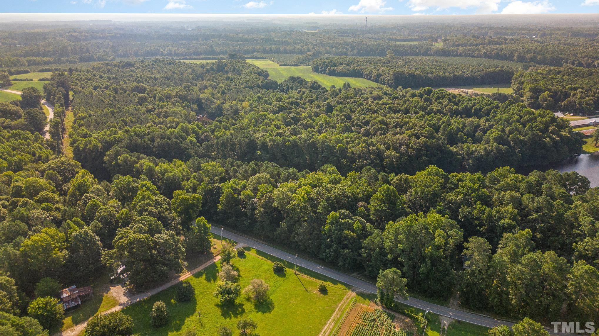 Lot 2 Wiley Road Spring Hope, NC 27882 - Photo 2 of 12 a view of a lake