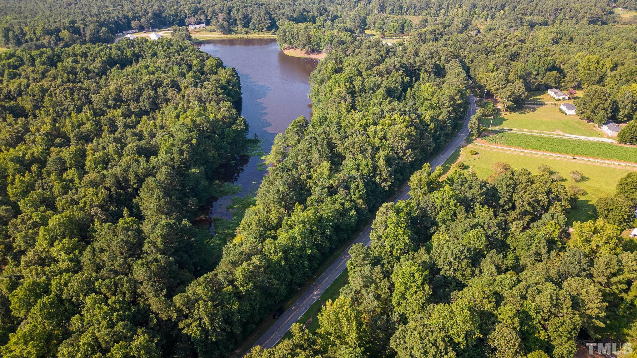 Lot 2 Wiley Road Spring Hope, NC 27882 - Photo 10 of 12 a view of a yard with plants and large trees