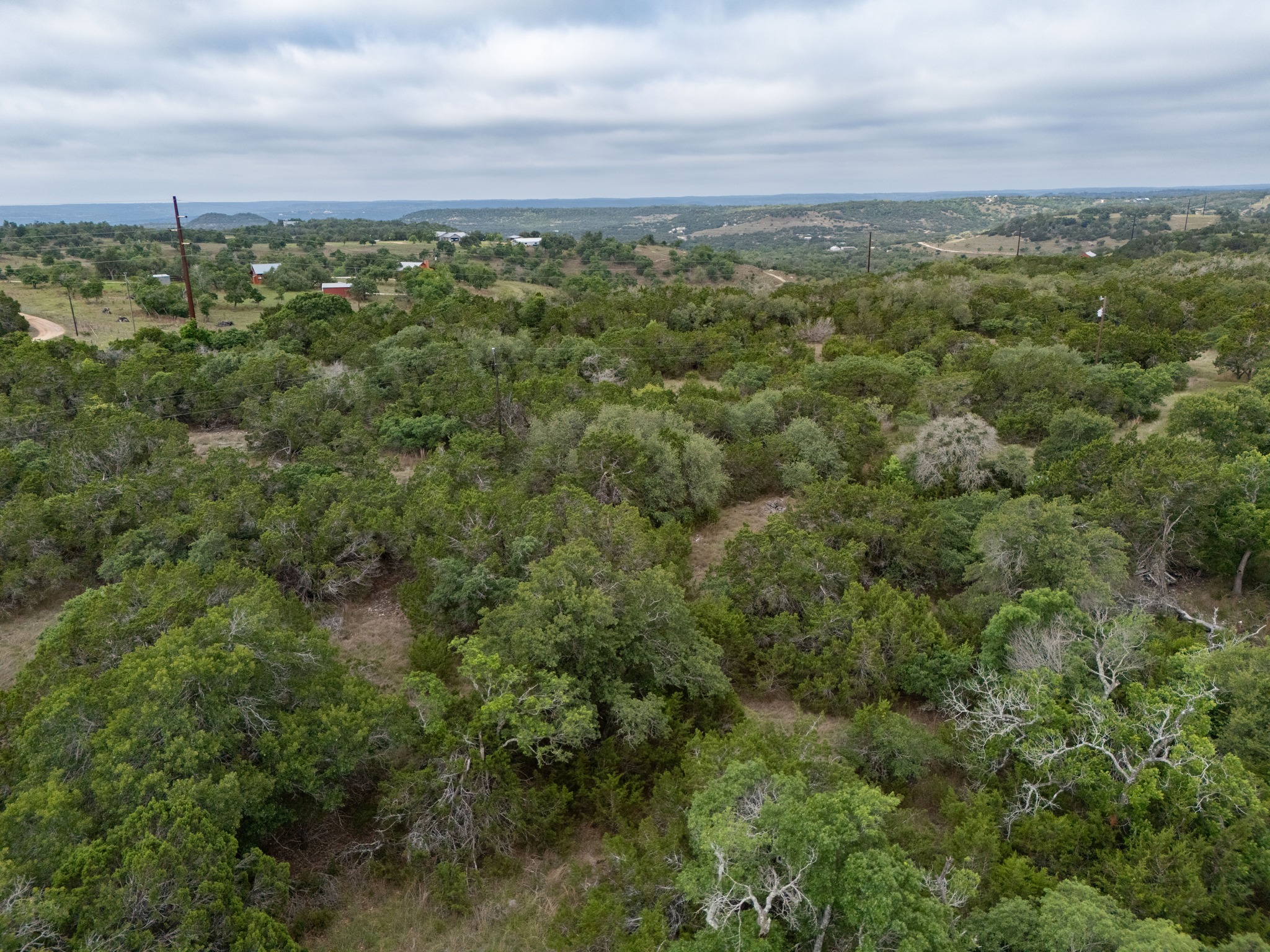-altwein Rd 17.91 Acres Altwein Road Blanco, TX 78606 - Photo 12 of 33 a view of a city with lush green forest
