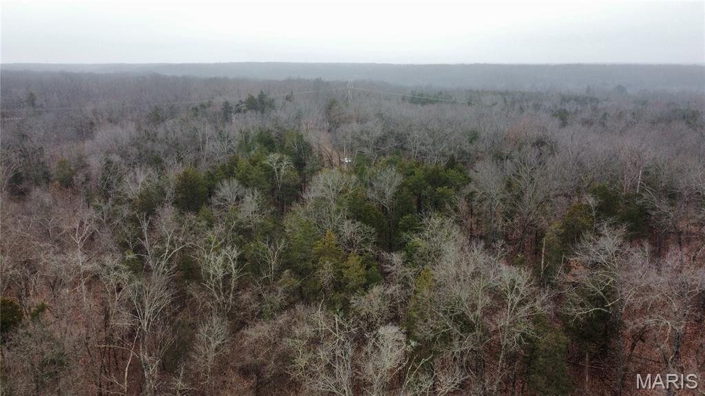 0 Deer Run Road Williamsburg, MO 63388 - Photo 1 of 24