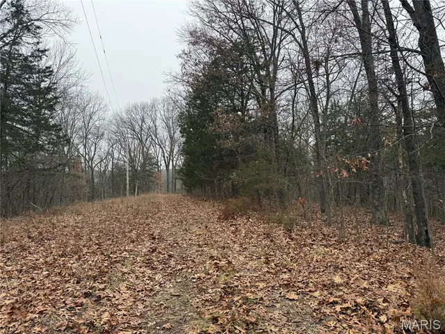 $138,000 | 0 Deer Run Road, Williamsburg, MO 63388