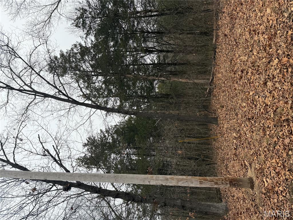 0 Deer Run Road Williamsburg, MO 63388 - Photo 12 of 24