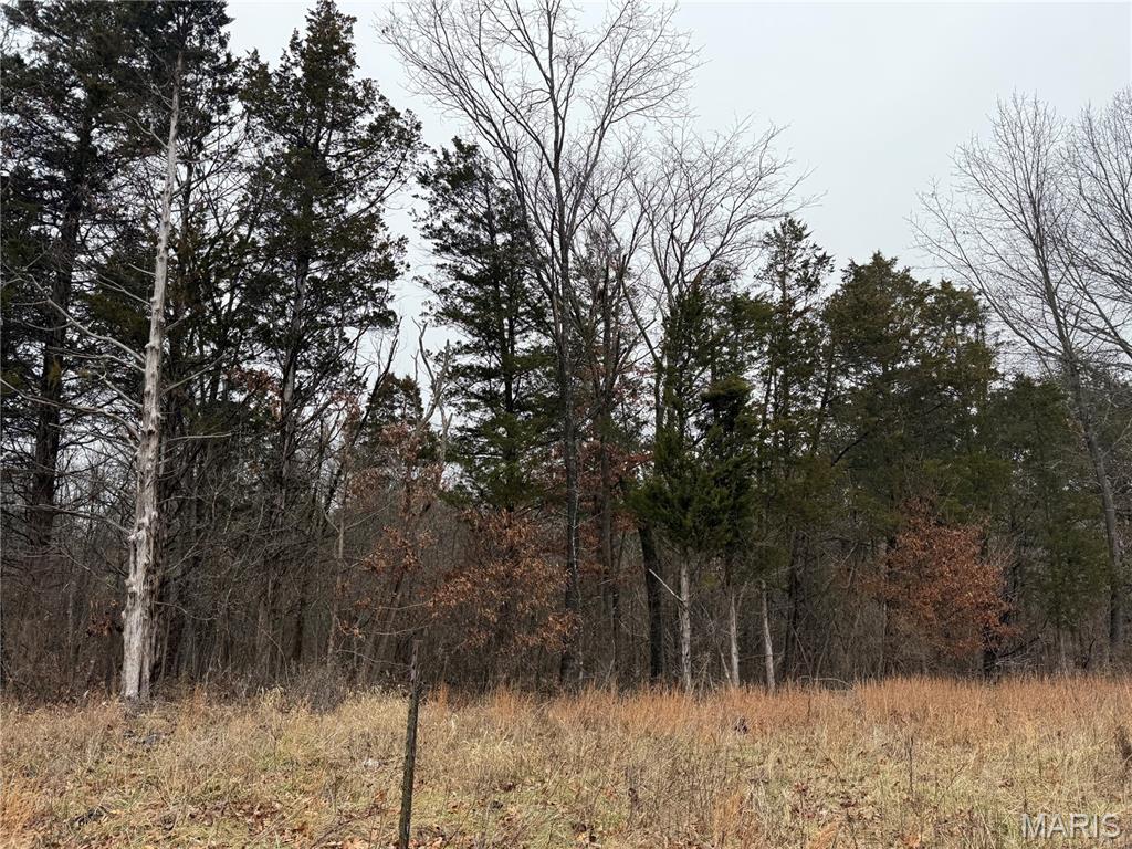 0 Deer Run Road Williamsburg, MO 63388 - Photo 14 of 24