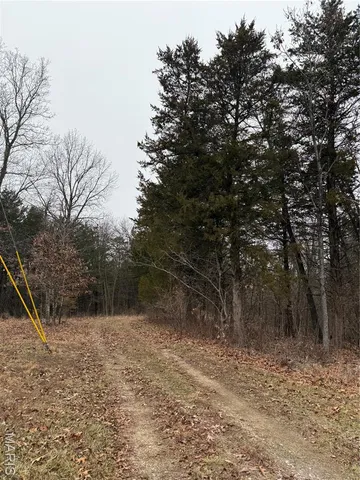 $138,000 | 0 Deer Run Road, Williamsburg, MO 63388