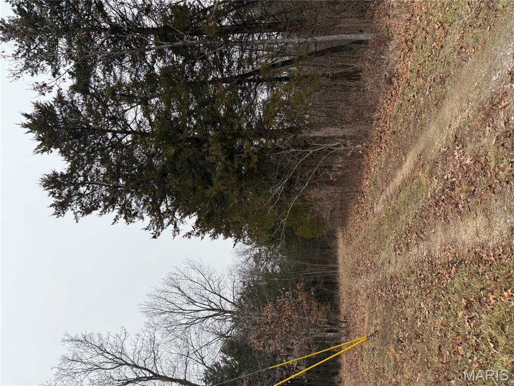 0 Deer Run Road Williamsburg, MO 63388 - Photo 15 of 24