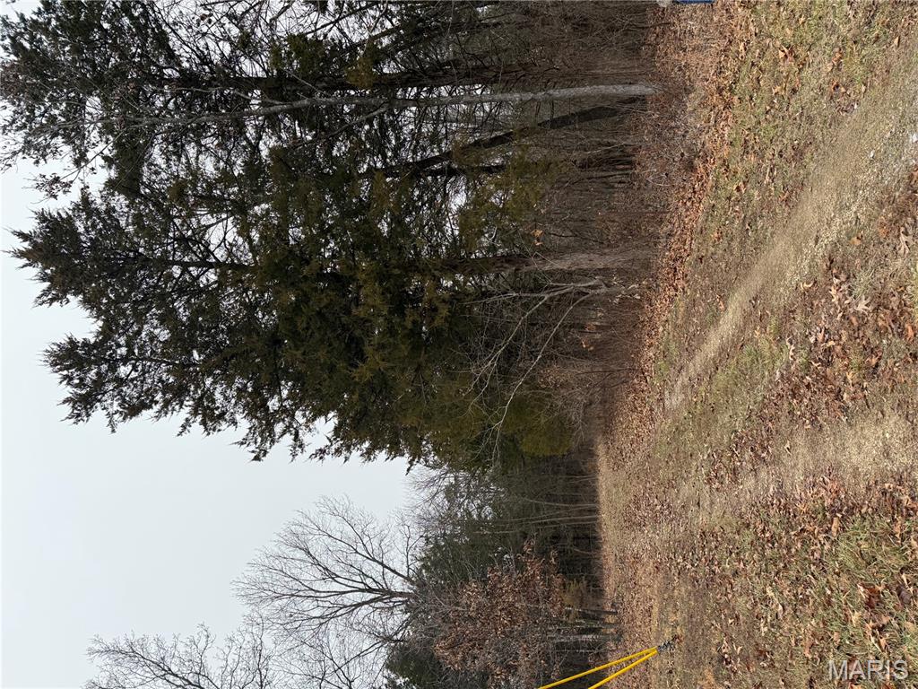 0 Deer Run Road Williamsburg, MO 63388 - Photo 16 of 24