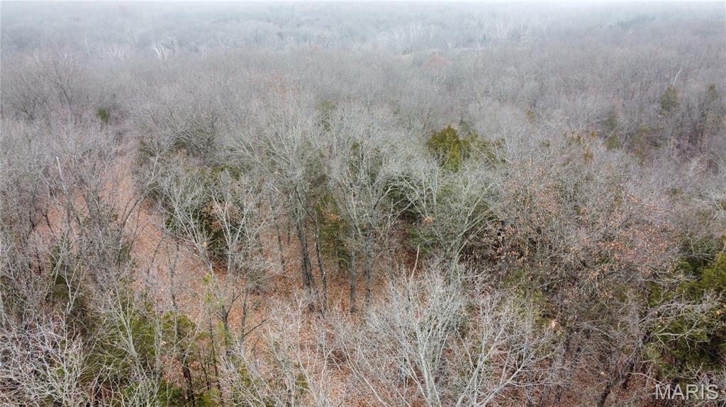 0 Deer Run Road Williamsburg, MO 63388 - Photo 2 of 24