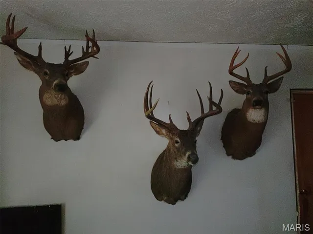 $138,000 | 0 Deer Run Road, Williamsburg, MO 63388