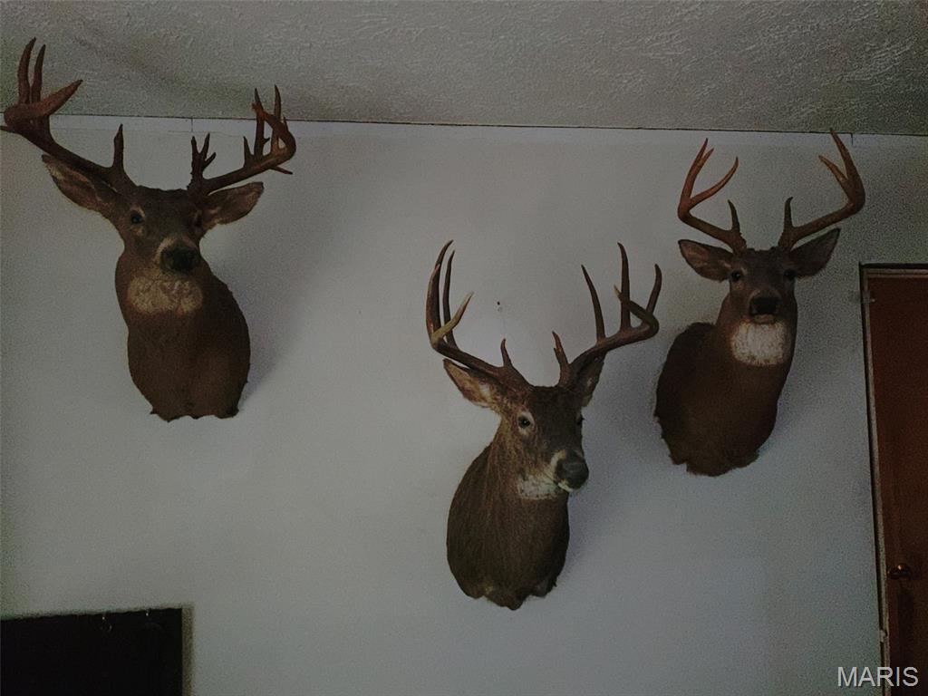 0 Deer Run Road Williamsburg, MO 63388 - Photo 23 of 24