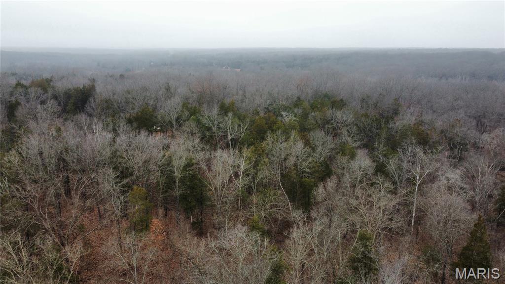 0 Deer Run Road Williamsburg, MO 63388 - Photo 3 of 24