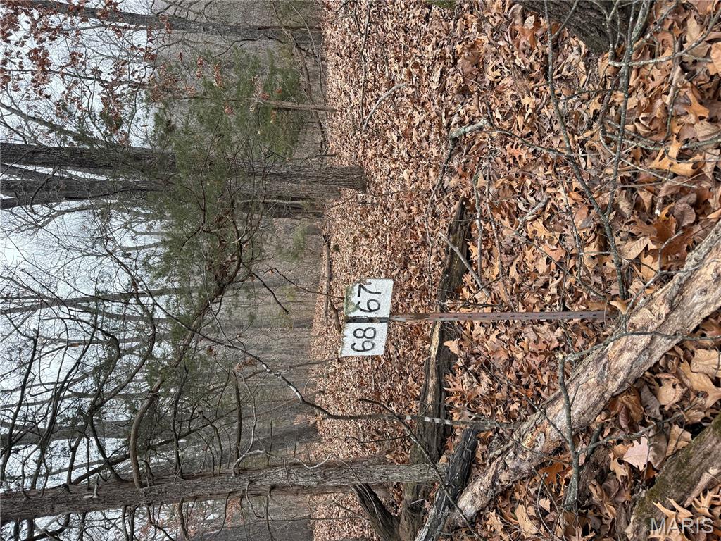 0 Deer Run Road Williamsburg, MO 63388 - Photo 5 of 24