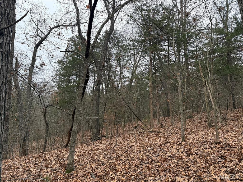 0 Deer Run Road Williamsburg, MO 63388 - Photo 6 of 24