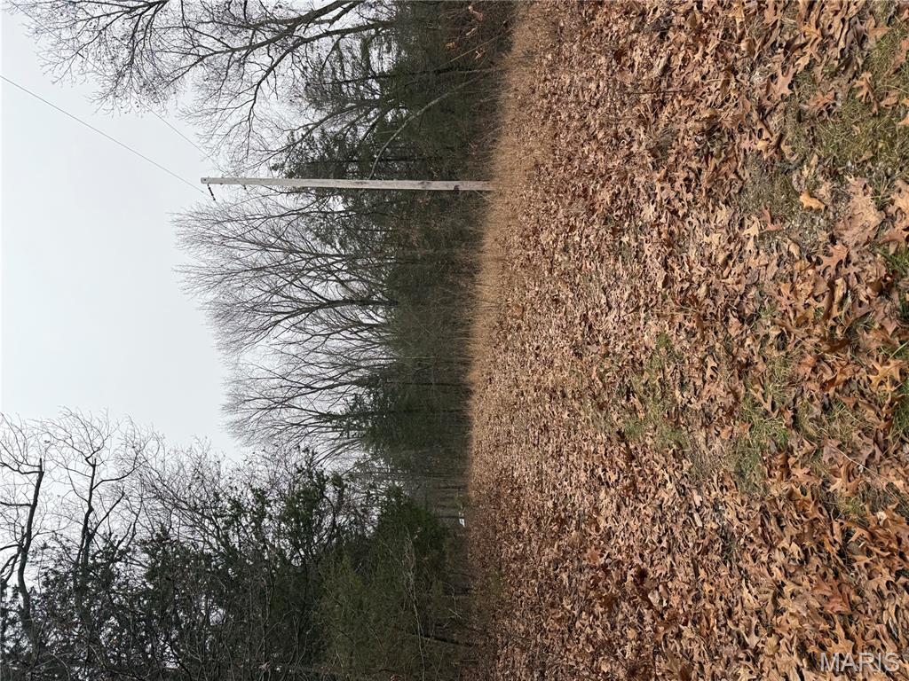 0 Deer Run Road Williamsburg, MO 63388 - Photo 7 of 24