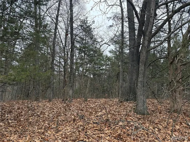 $138,000 | 0 Deer Run Road, Williamsburg, MO 63388