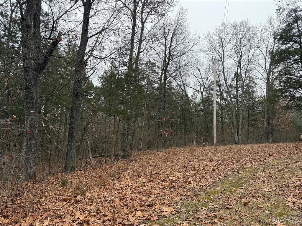 0 Deer Run Road Williamsburg, MO 63388 - Photo 10 of 24