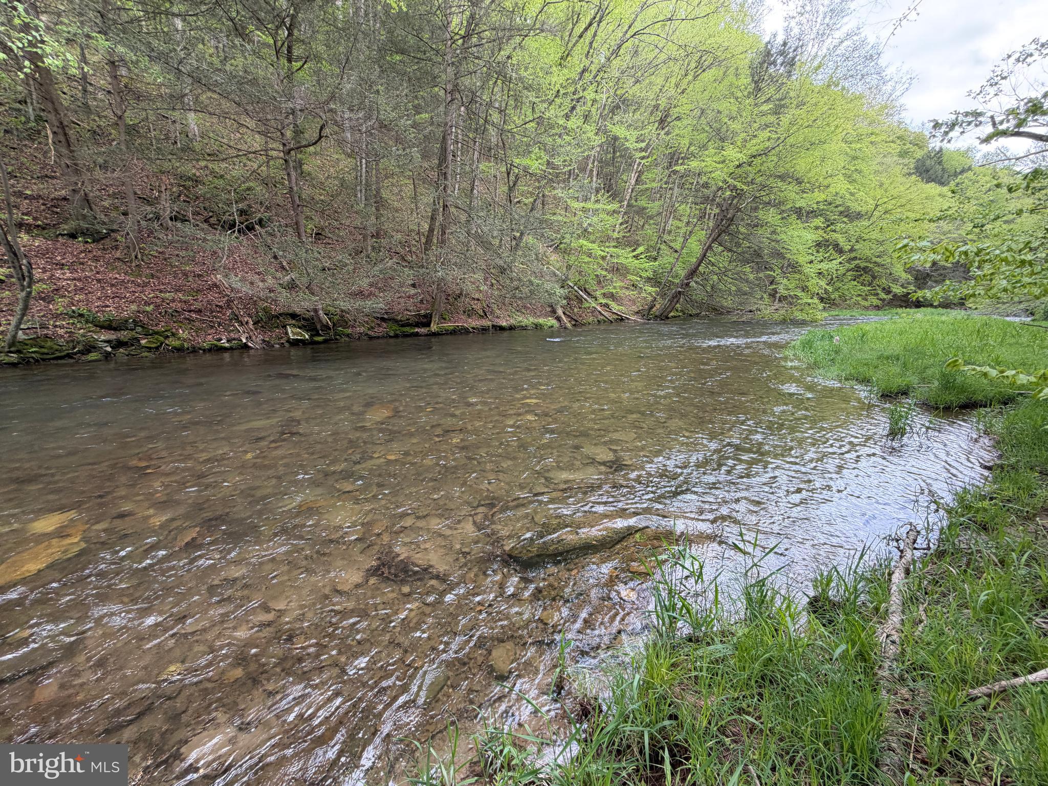 1227 Cross Fork Creek Road Cross Fork, PA 17729 - Photo 73 of 139