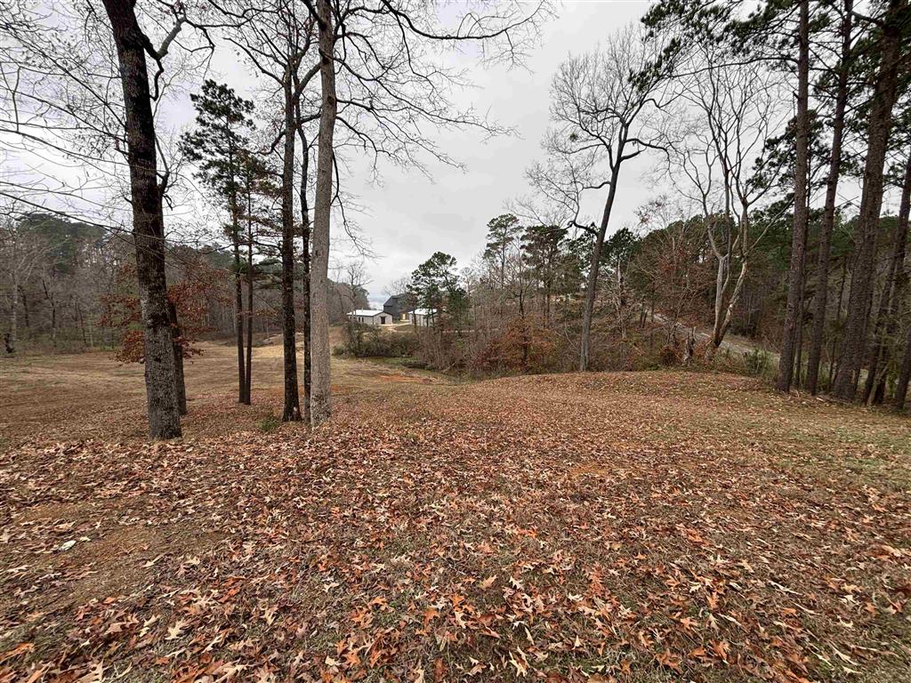 Tbd Stoney Creek Drive Many, LA 71449 - Photo 2 of 5