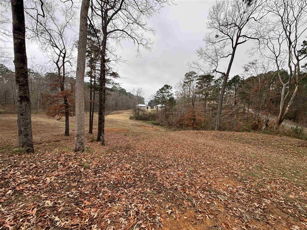 Tbd Stoney Creek Drive Many, LA 71449 - Photo 3 of 5