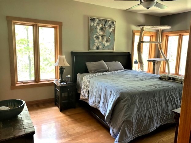 2110 Grand Detour Road Dixon, IL 61021 - Photo 19 of 21 a bedroom with a bed and a large window