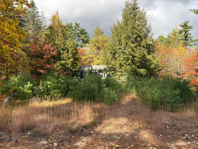 $65,000 | 46 Woodland Street, Fryeburg, ME 04037