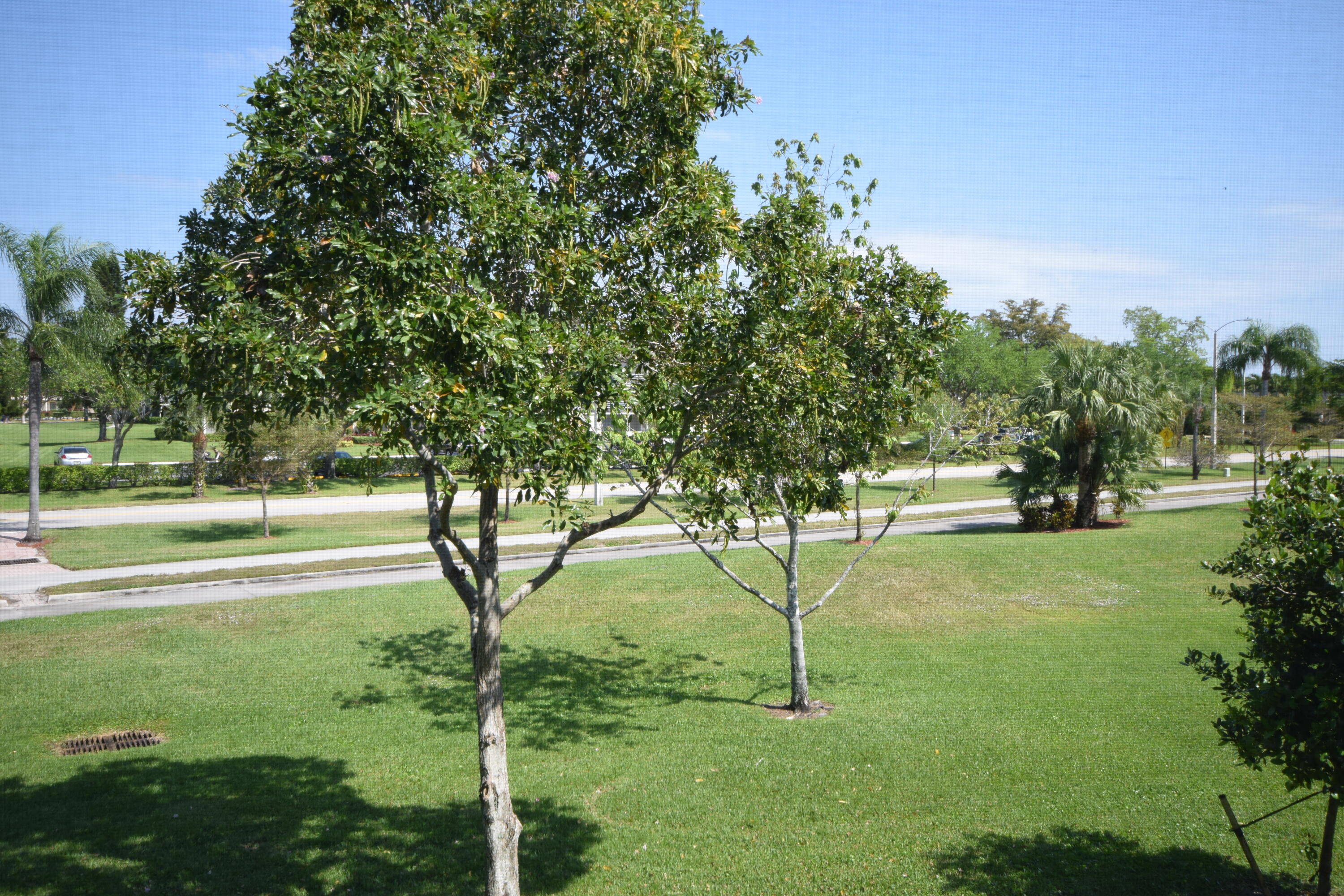 2019 Lincoln A Boca Raton, FL 33434 - Photo 26 of 27 DSC_5659