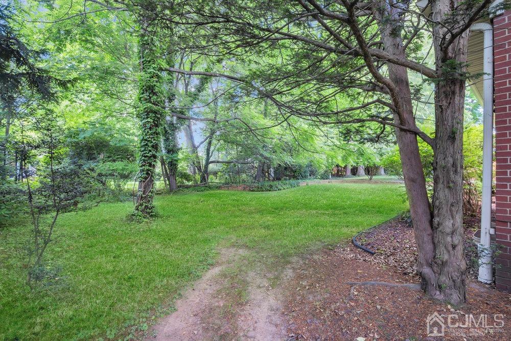 5 Crest Road New Brunswick, NJ 08901 - Photo 34 of 36 Gallery Image 34