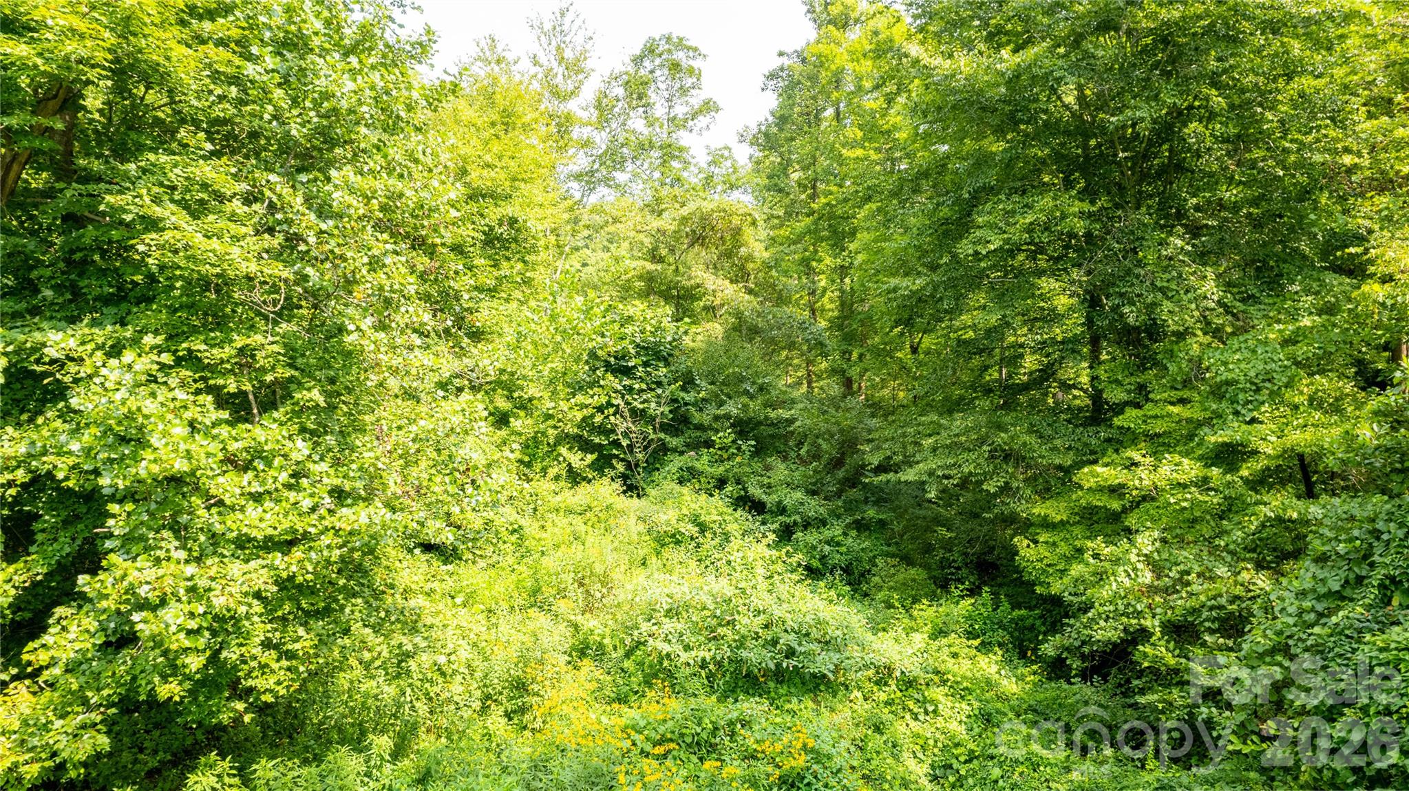 Tbd Tbd Collettsville Road, Unit 14 Lenoir, NC 28645 - Photo 14 of 24