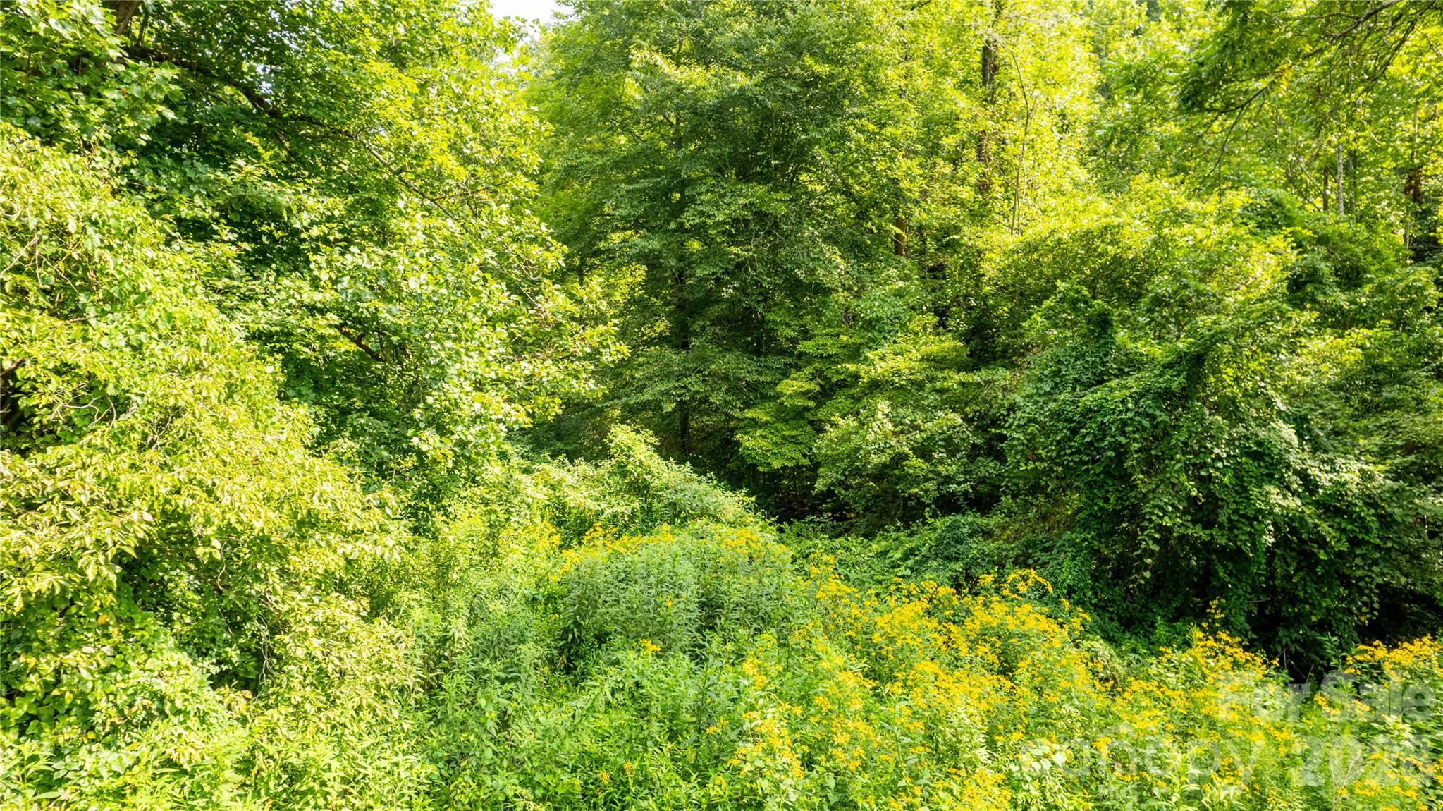 Tbd Tbd Collettsville Road, Unit 14 Lenoir, NC 28645 - Photo 15 of 24