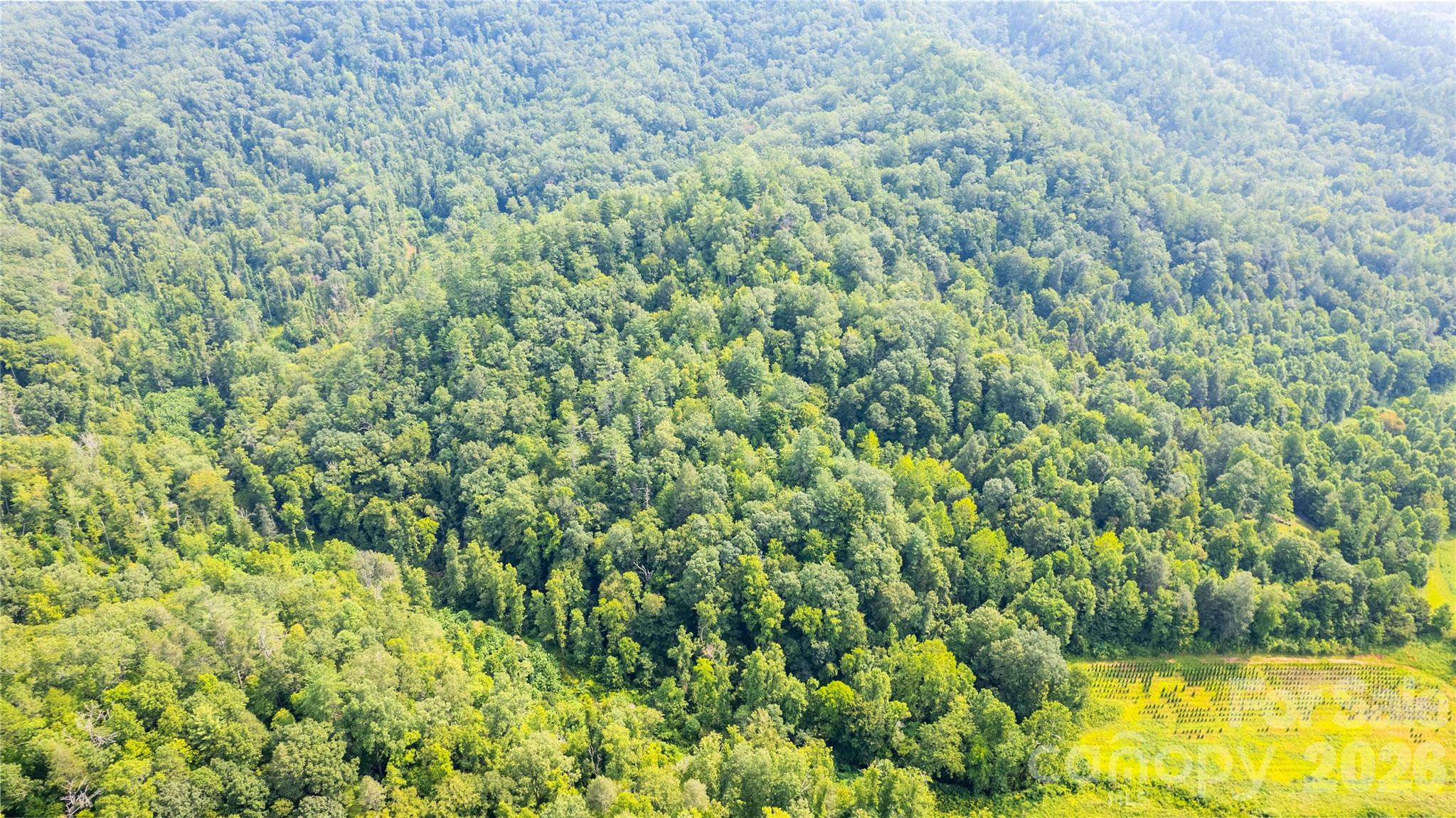 Tbd Tbd Collettsville Road, Unit 14 Lenoir, NC 28645 - Photo 10 of 24