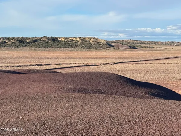 a view of beach and ocean