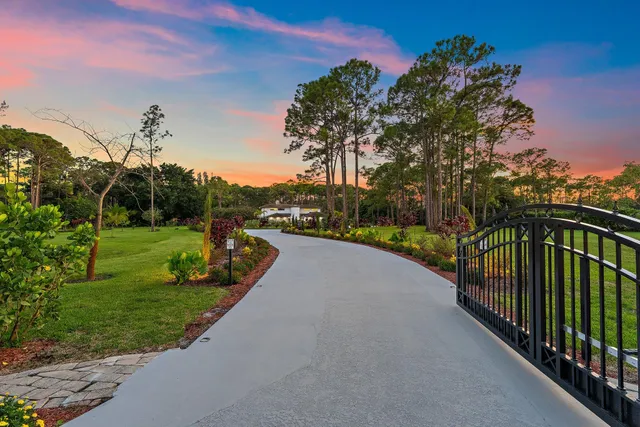 a view of a park with large trees