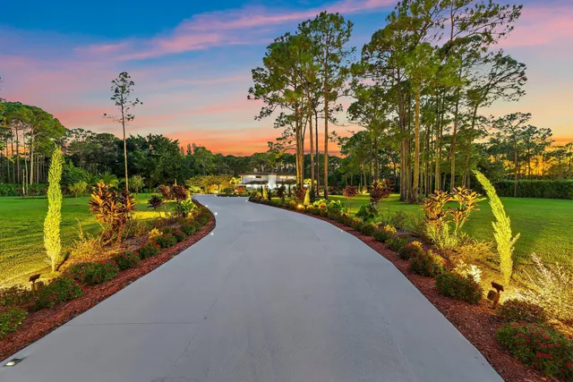 a front view of a house with plants and trees