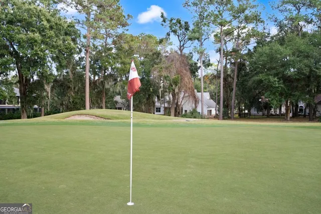 a view of a ground with trees