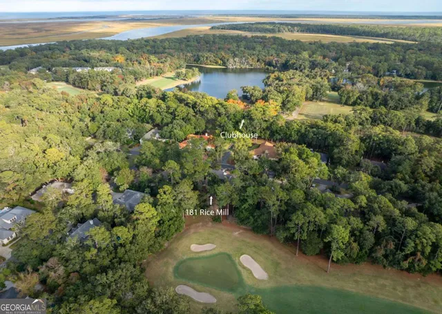 a view of a lake with a mountain in the background