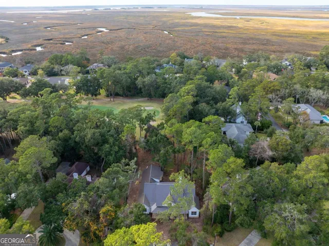 an aerial view of residential houses with outdoor space and trees