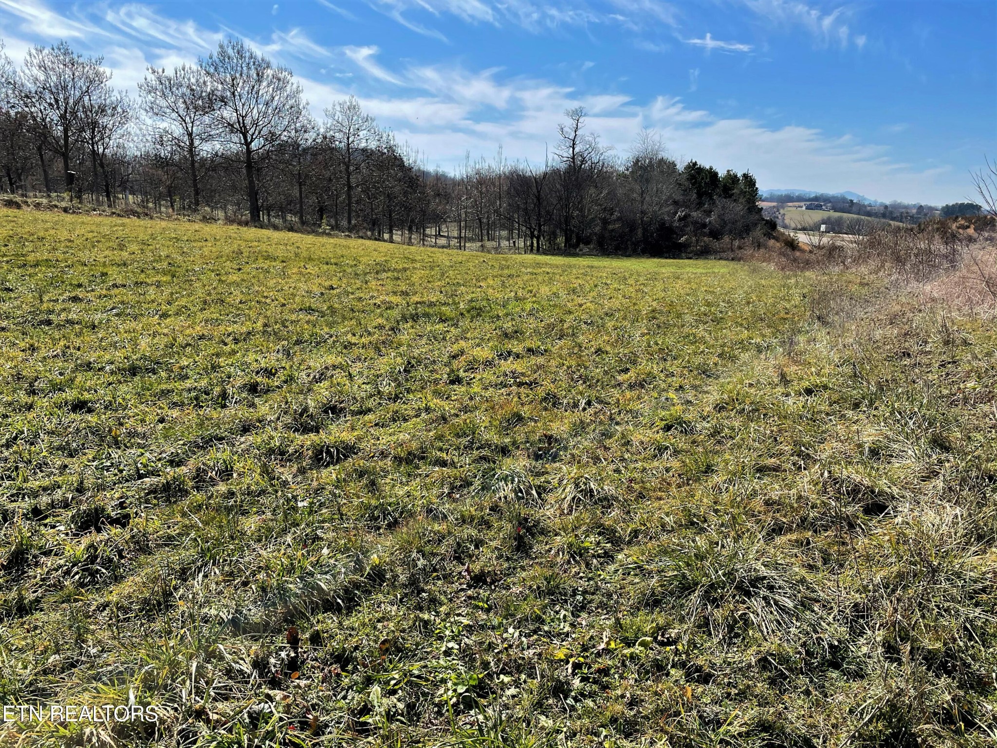 4 Highway 321 Butler, TN 37640 - Photo 5 of 21 a view of a field