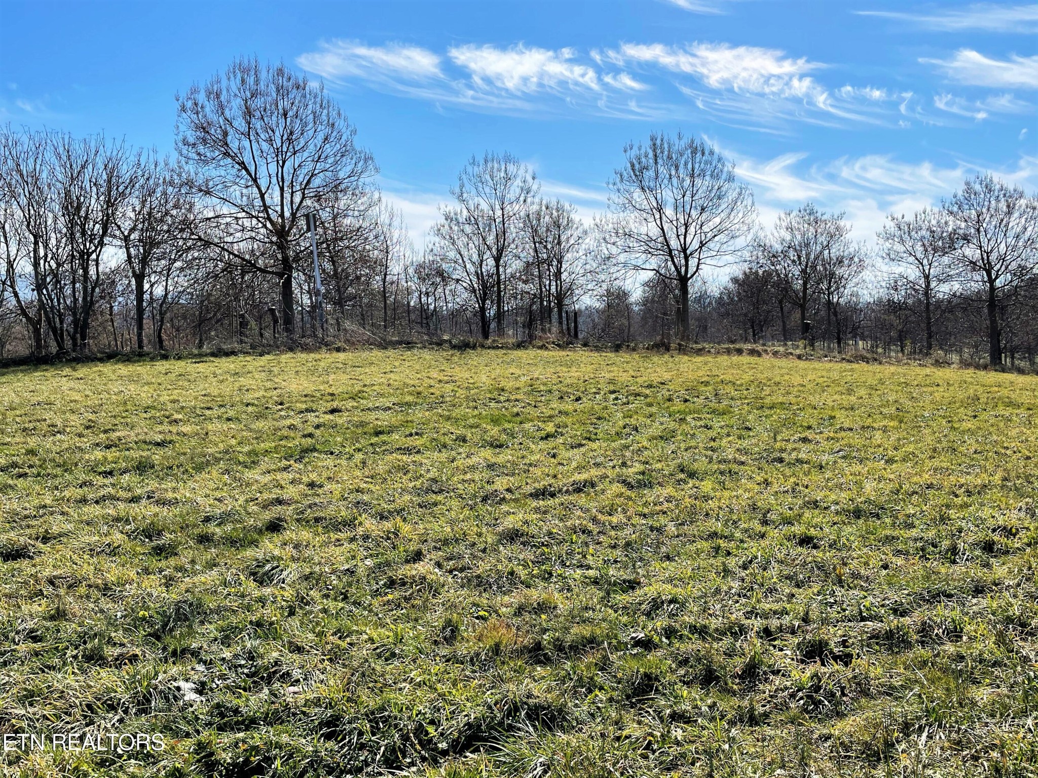 4 Highway 321 Butler, TN 37640 - Photo 6 of 21 a view of a yard with trees