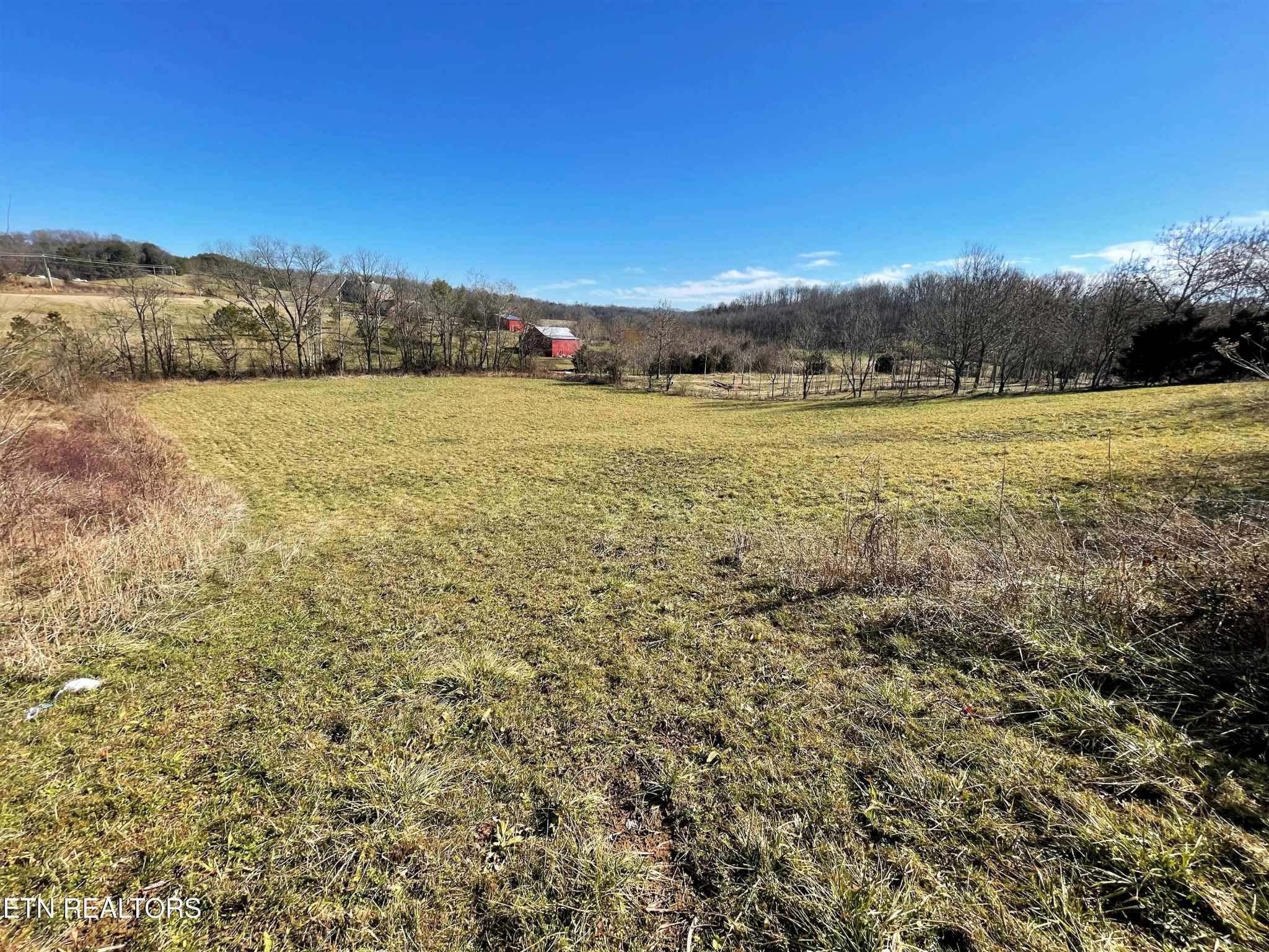 4 Highway 321 Butler, TN 37640 - Photo 7 of 21 a view of a field with an ocean