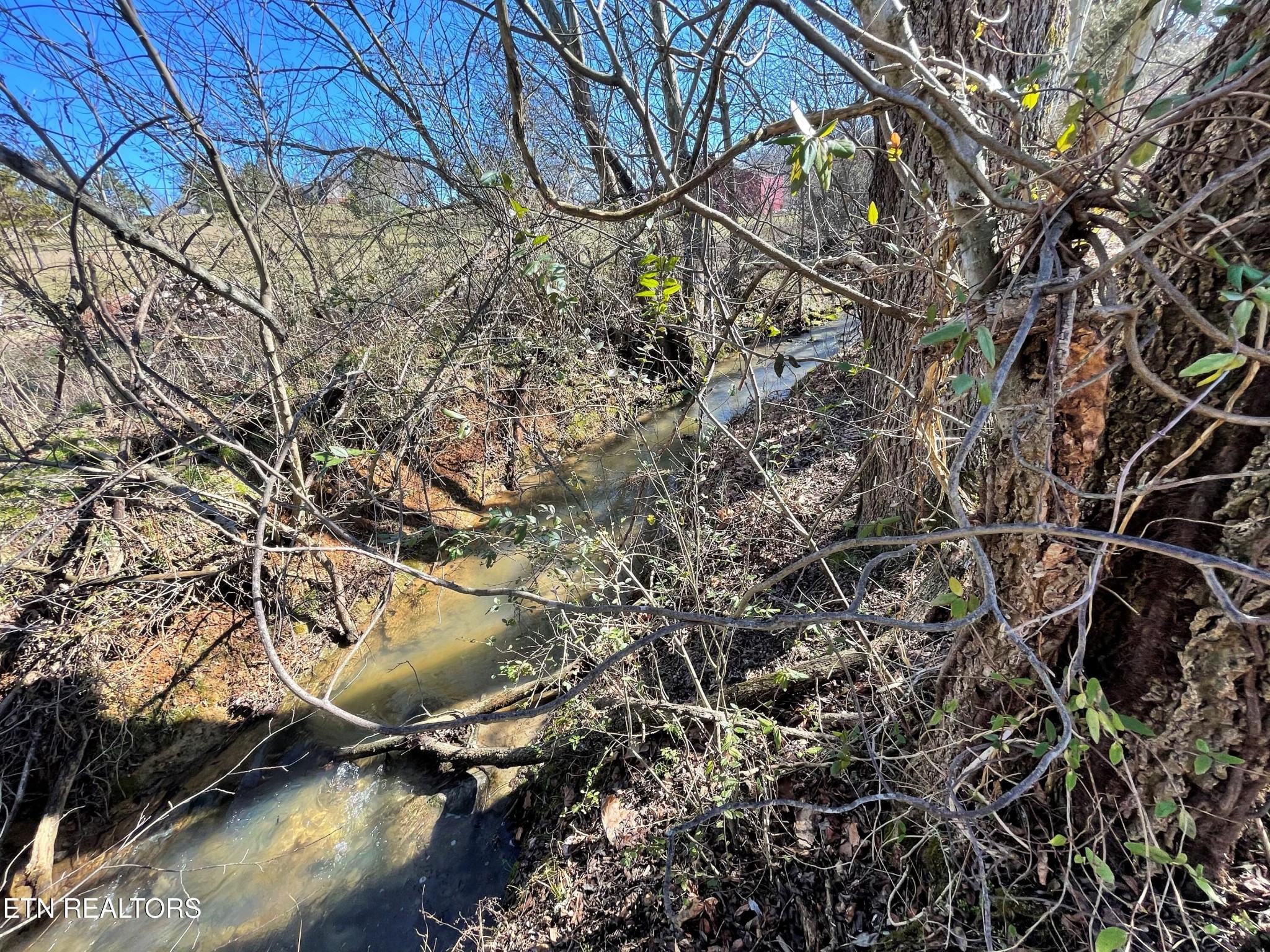 4 Highway 321 Butler, TN 37640 - Photo 8 of 21 a backyard of a house with lots of green space