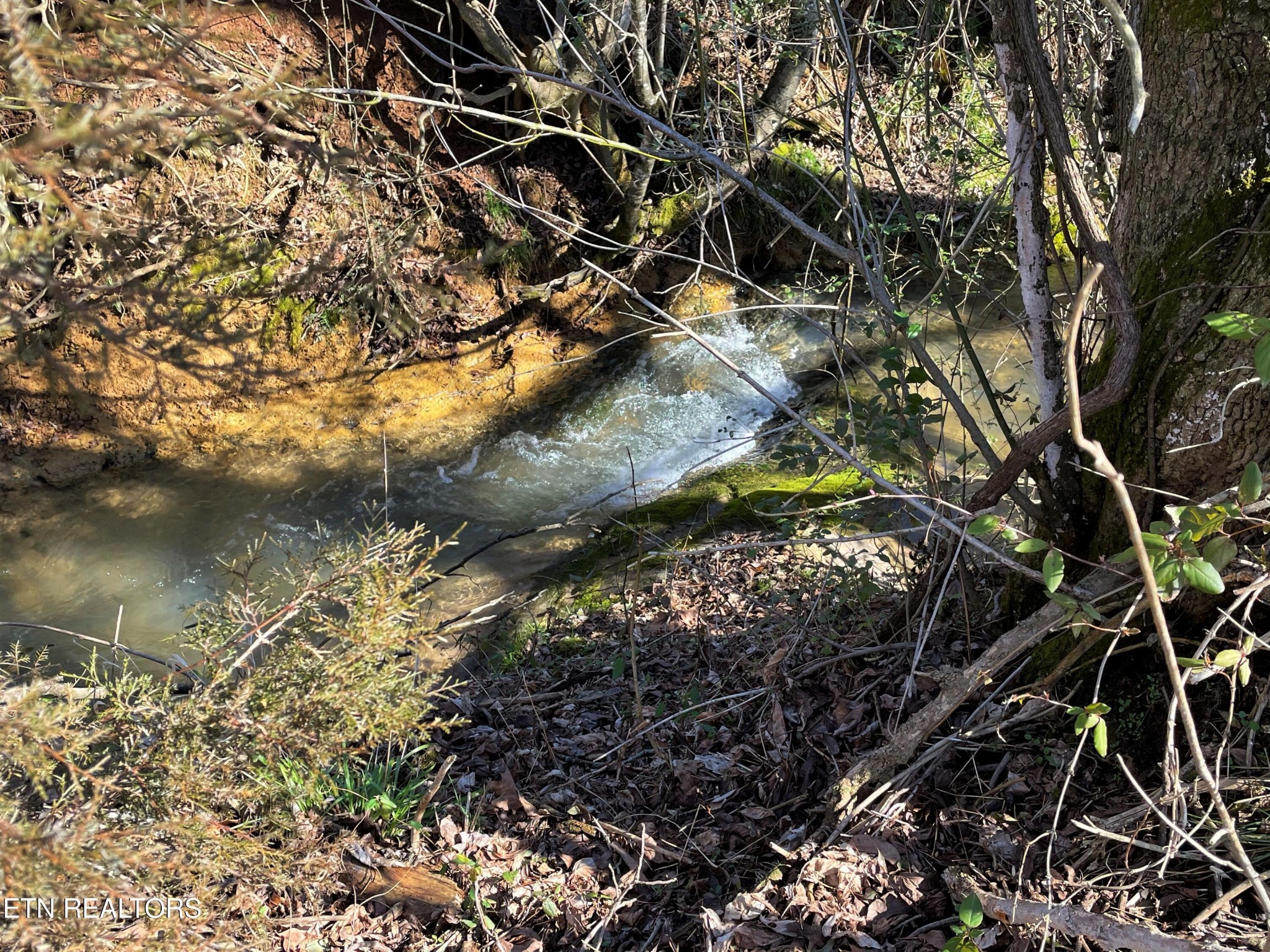 4 Highway 321 Butler, TN 37640 - Photo 9 of 21 a backyard of a house with a yard and large trees
