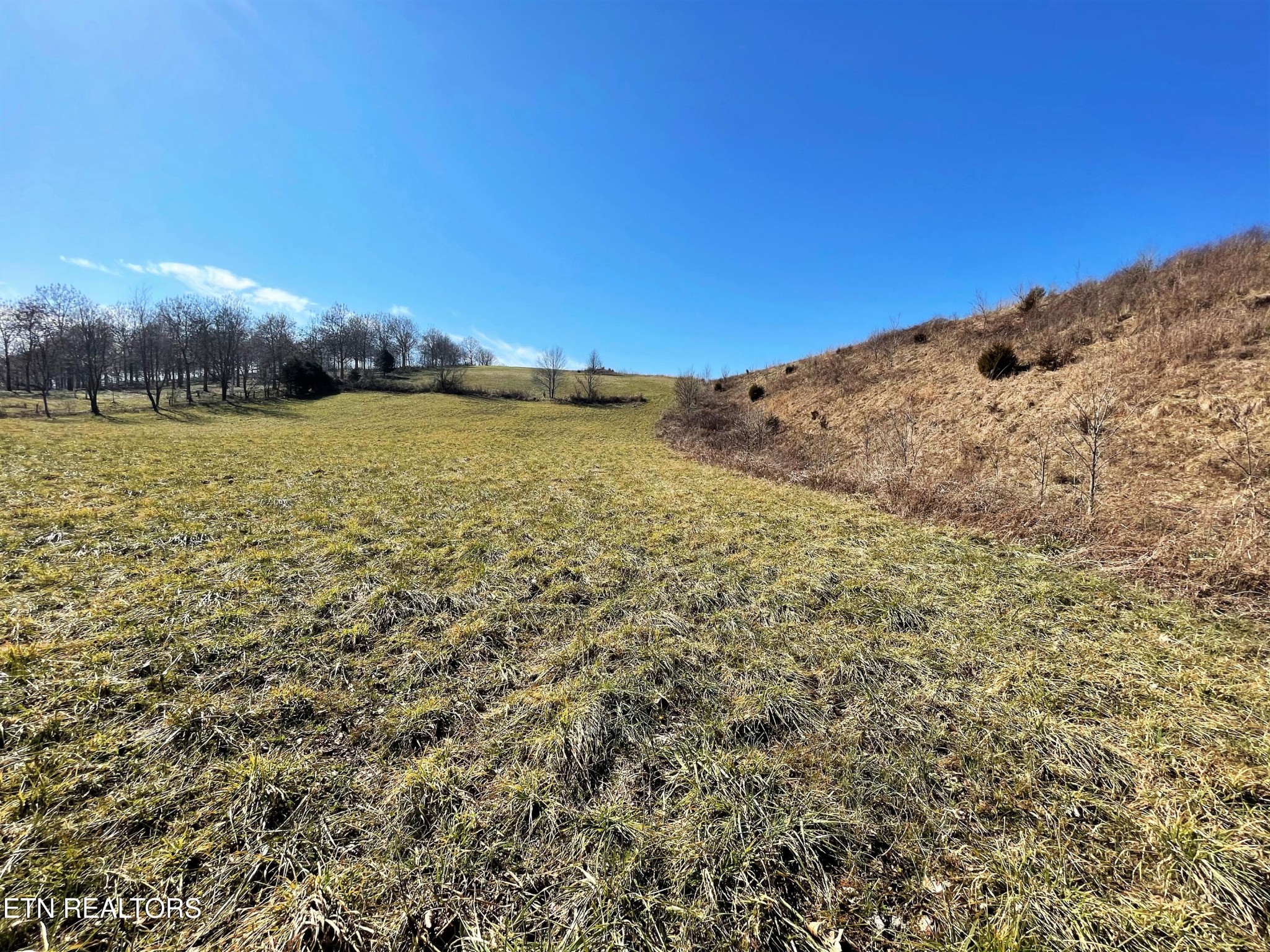 4 Highway 321 Butler, TN 37640 - Photo 10 of 21 a view of a lake with a mountain