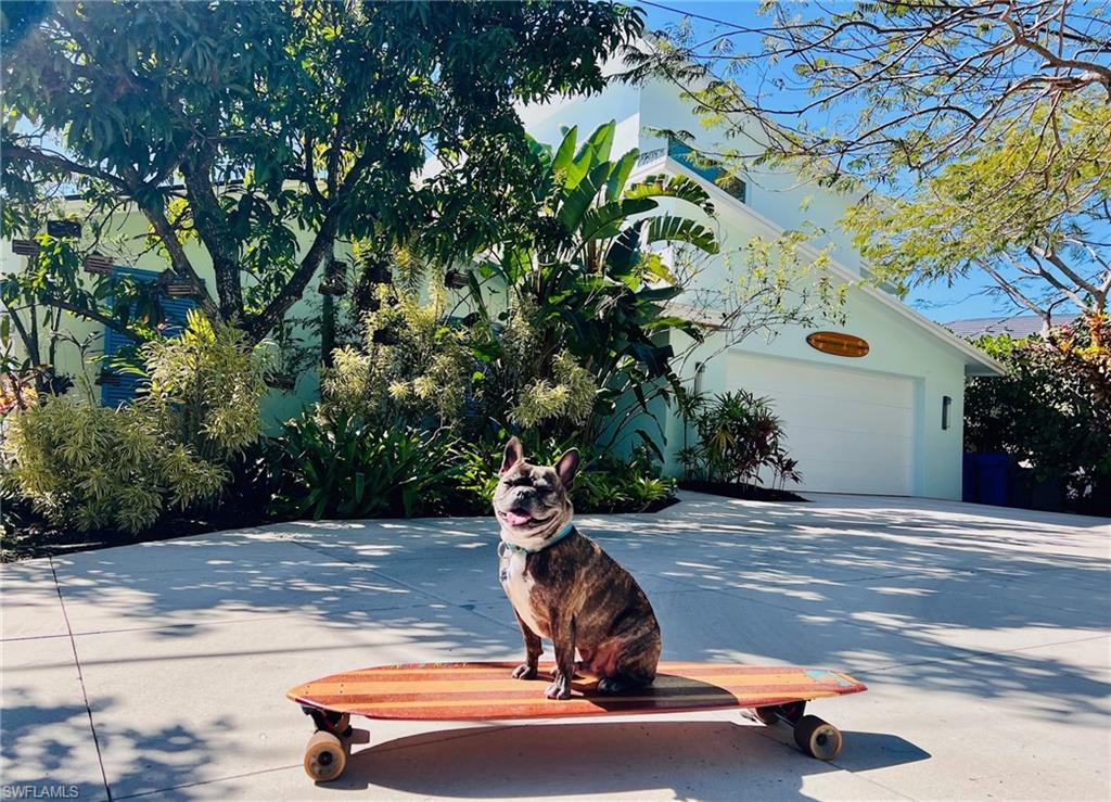 View of home's exterior with circular concrete driveway