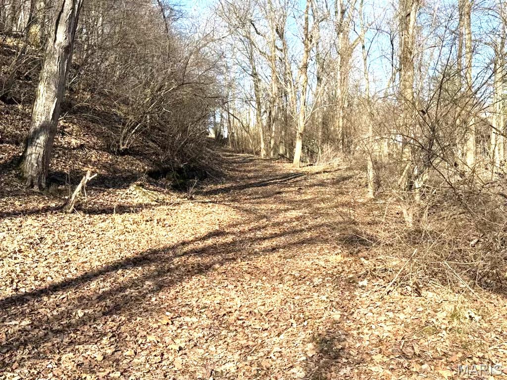 1155 Kiefer Creek Road Ballwin, MO 63021 - Photo 16 of 18
