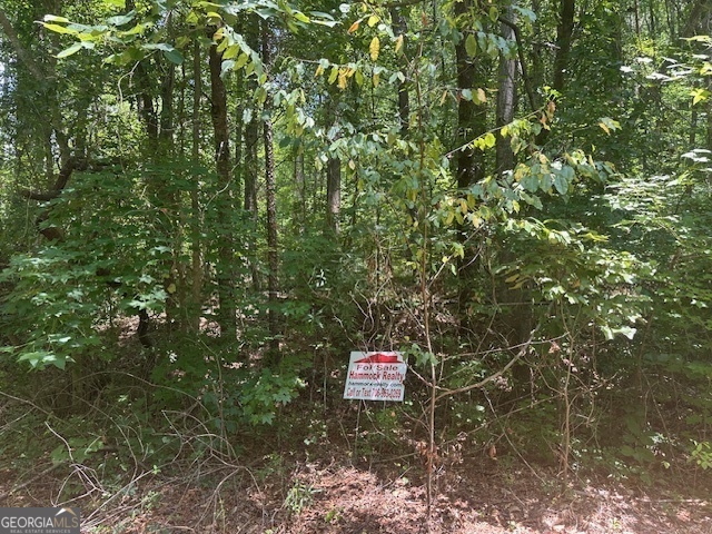 57 Dogwood Trail Martin, GA 30557 - Photo 1 of 5 a sign that is sitting in a tree