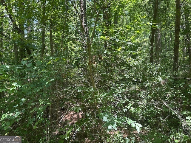 57 Dogwood Trail Martin, GA 30557 - Photo 2 of 5 a view of a lush green forest