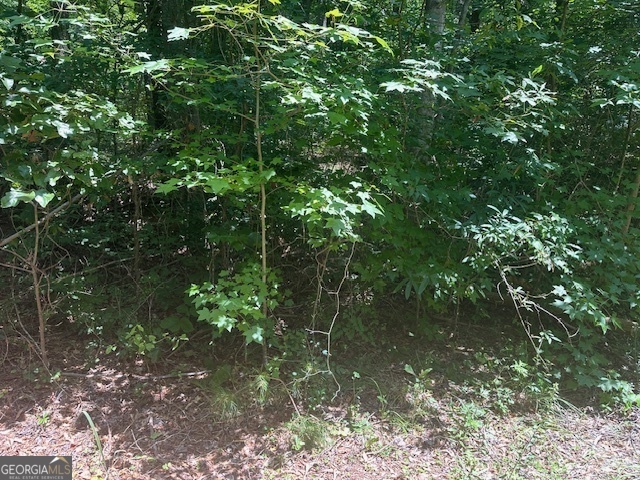 57 Dogwood Trail Martin, GA 30557 - Photo 3 of 5 a view of a forest