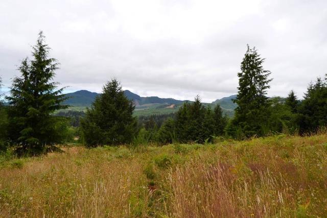 53 Nehalem Or 97131 Nehalem, OR 97131 - Photo 15 of 15 ViewAcrossField