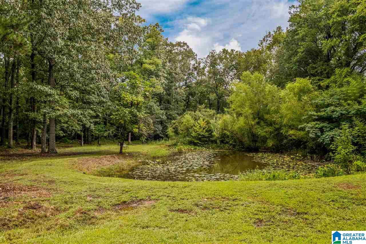2199 Highway 23 Springville, AL 35146 - Photo 32 of 35