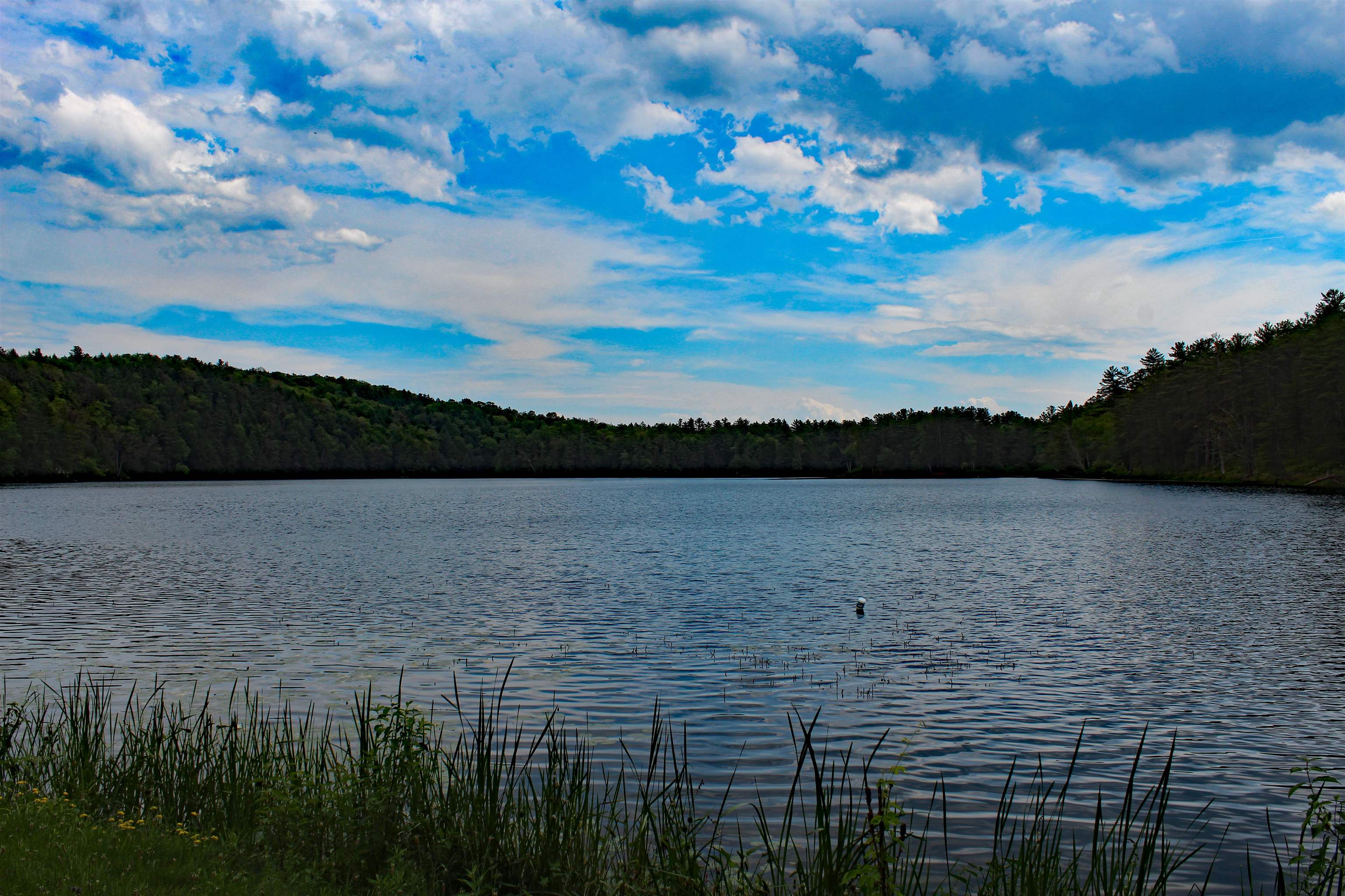 67 Sunrise Lake Road Orwell, VT 05760 - Photo 19 of 19