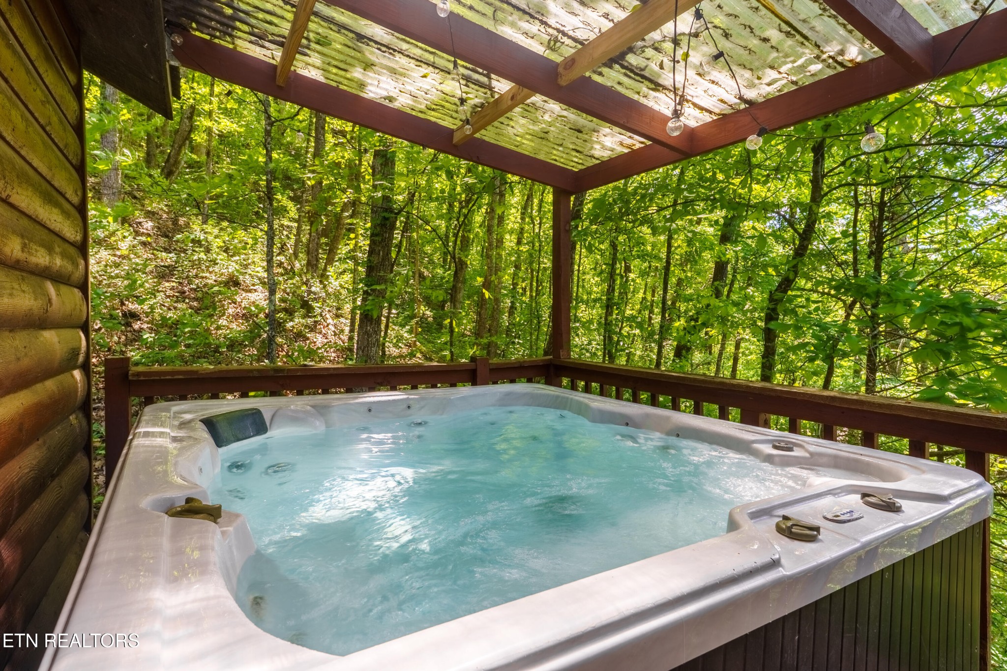 3272 Lost Branch Road Sevierville, TN 37862 - Photo 10 of 40 Gallery Image 10